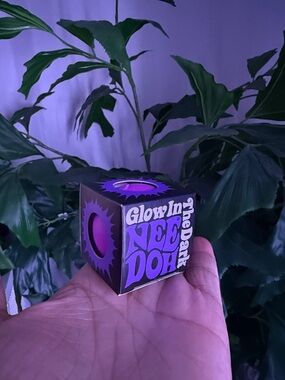 VIRAL Glow in the Dark Mini Nee Doh - Purple